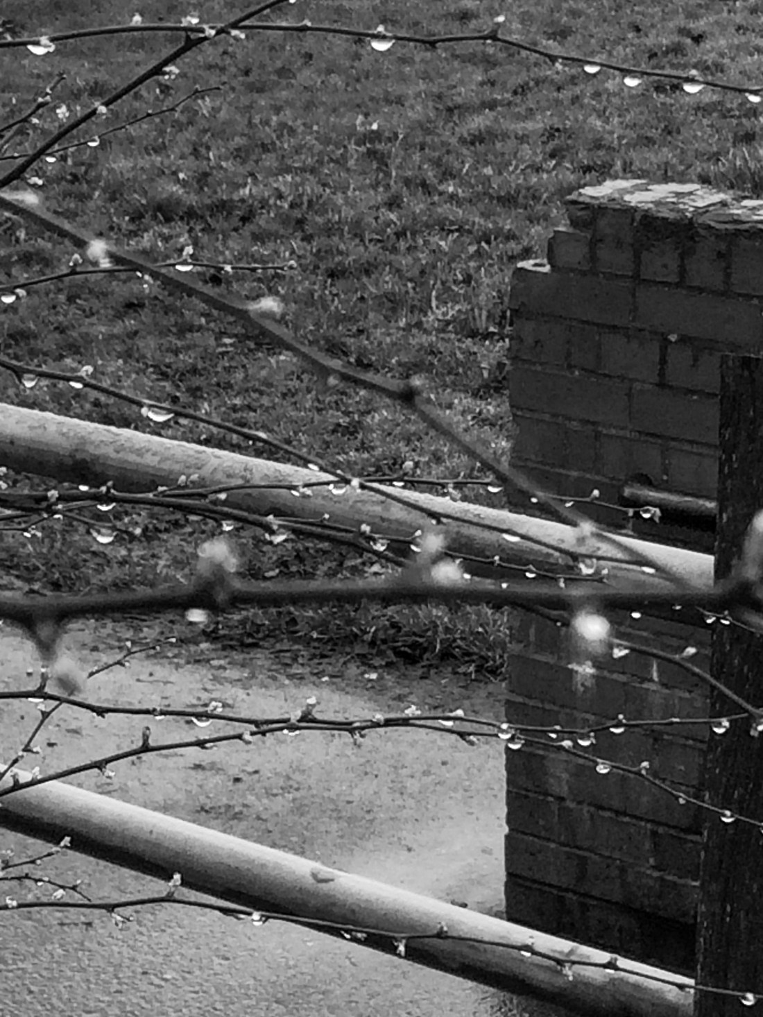 64A03639-1385-4FE6-81A3-9A17F87A4BF8