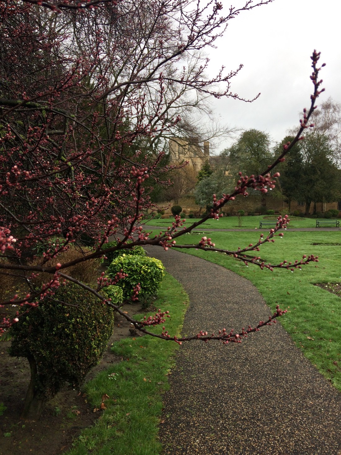 EEE02912-EB8E-4BB8-995C-E82147074DC8