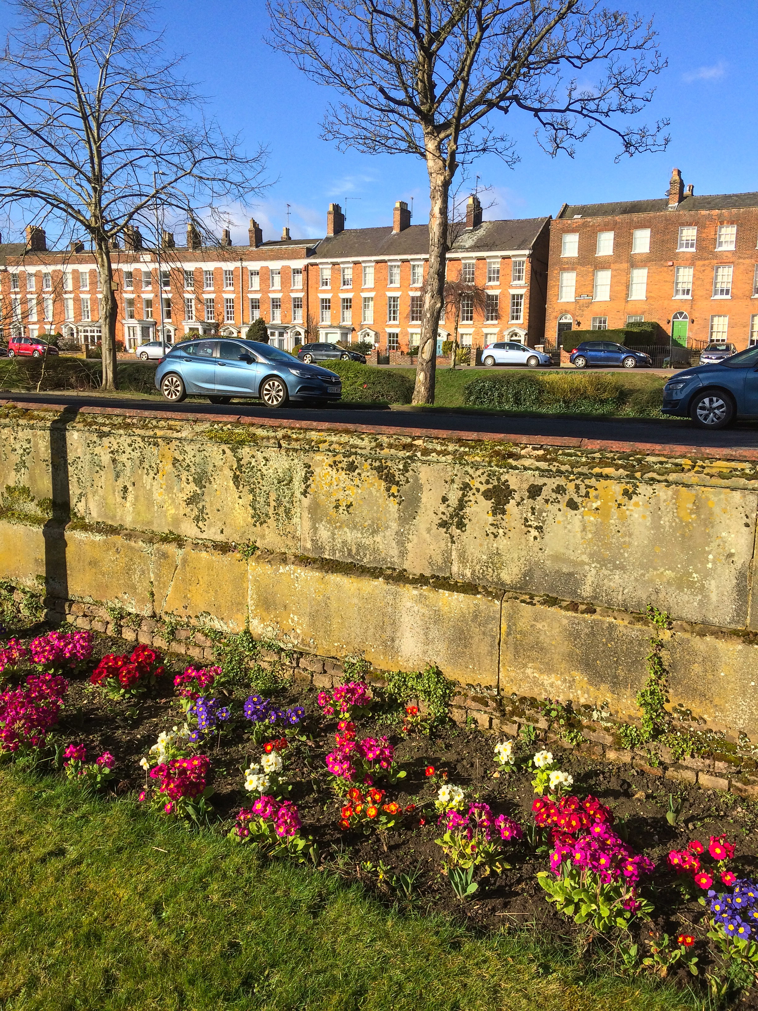 48a48570039d402297b8fb41c53ccdcd