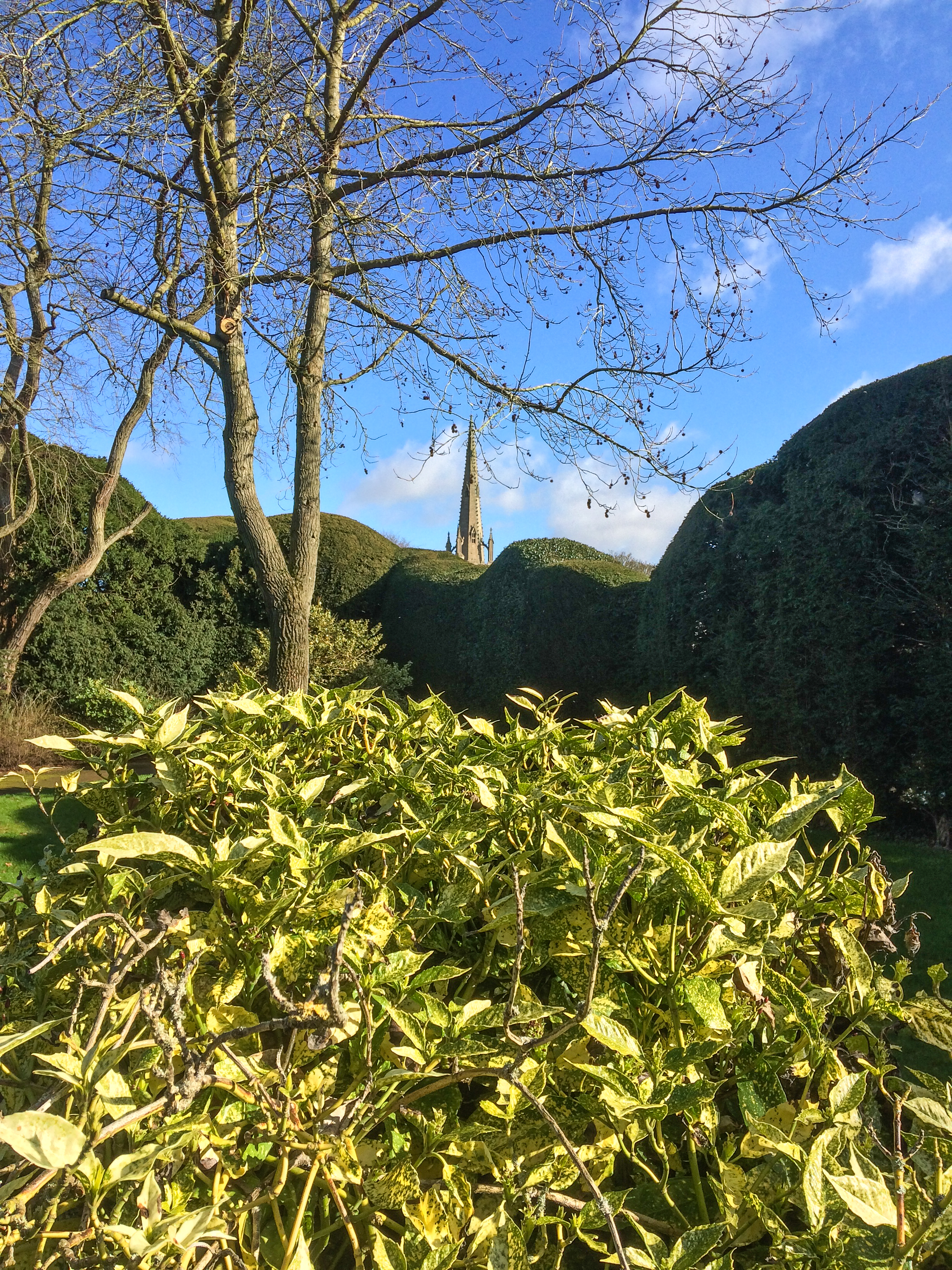 48c30f2fea214933a3ab9d419158f61d