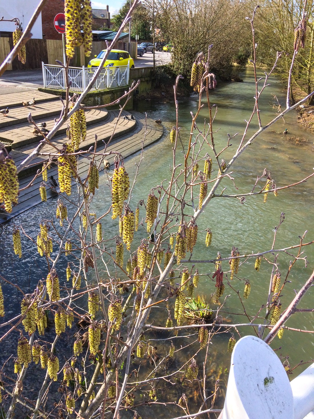 eb8b9db0bfe742f98a189902cdbf3c88