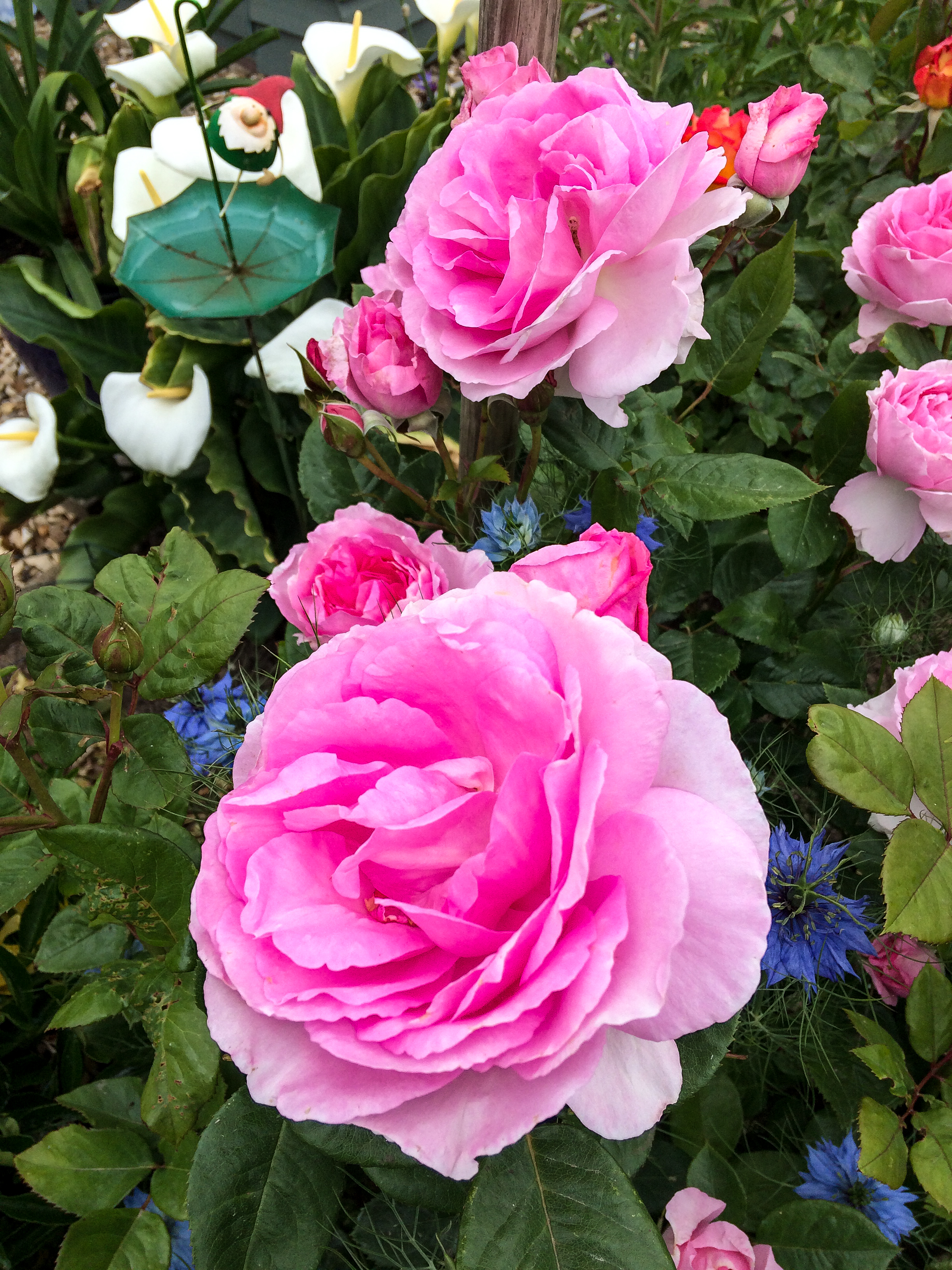 fb4f9b37915a4705b1732191563af691