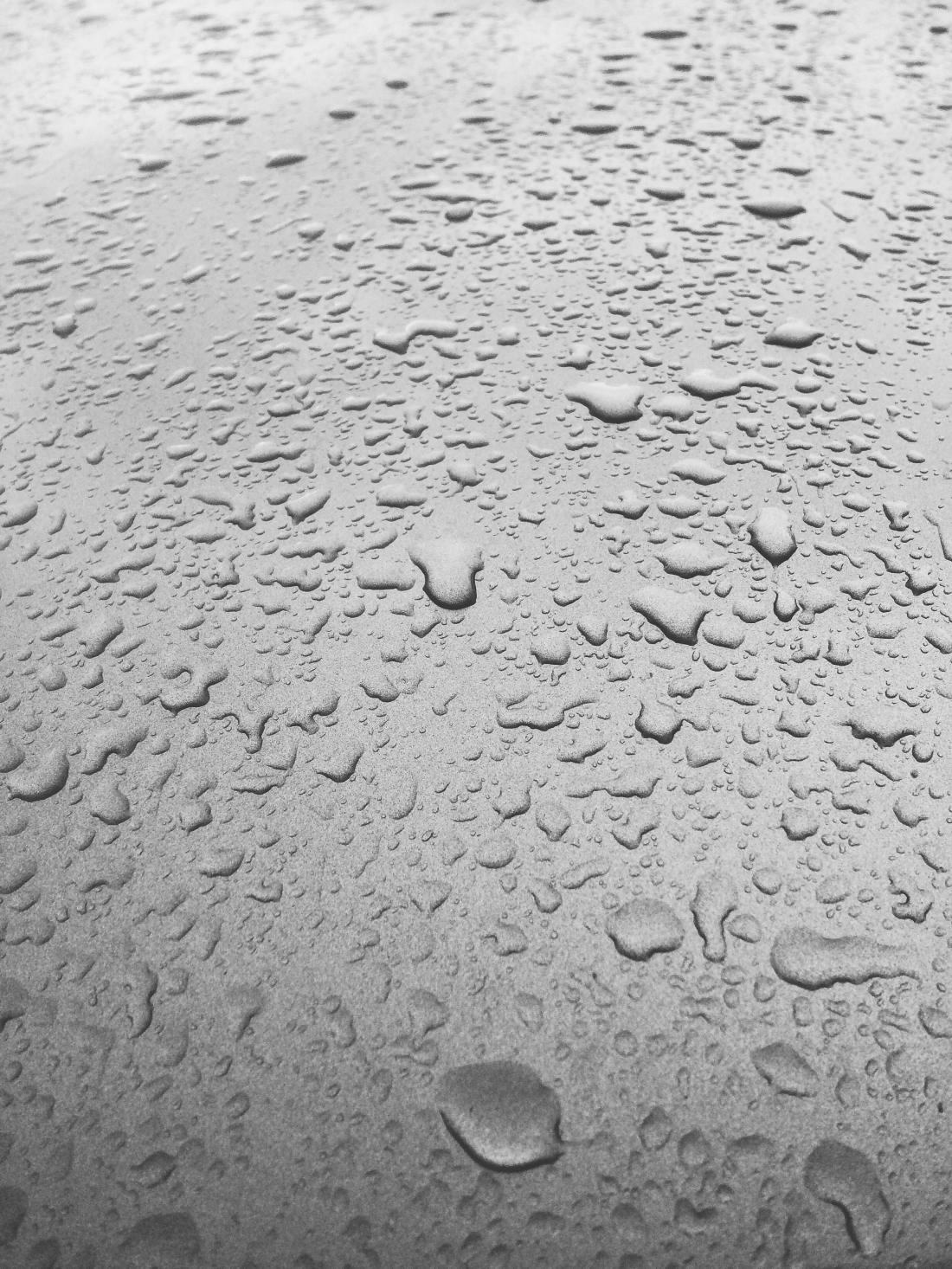 rainy-rain-raindrops-after-the-rain-3794251