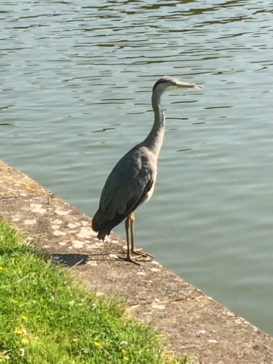 22FB00CD-F916-4613-B7FE-7508062F3E92 (1)