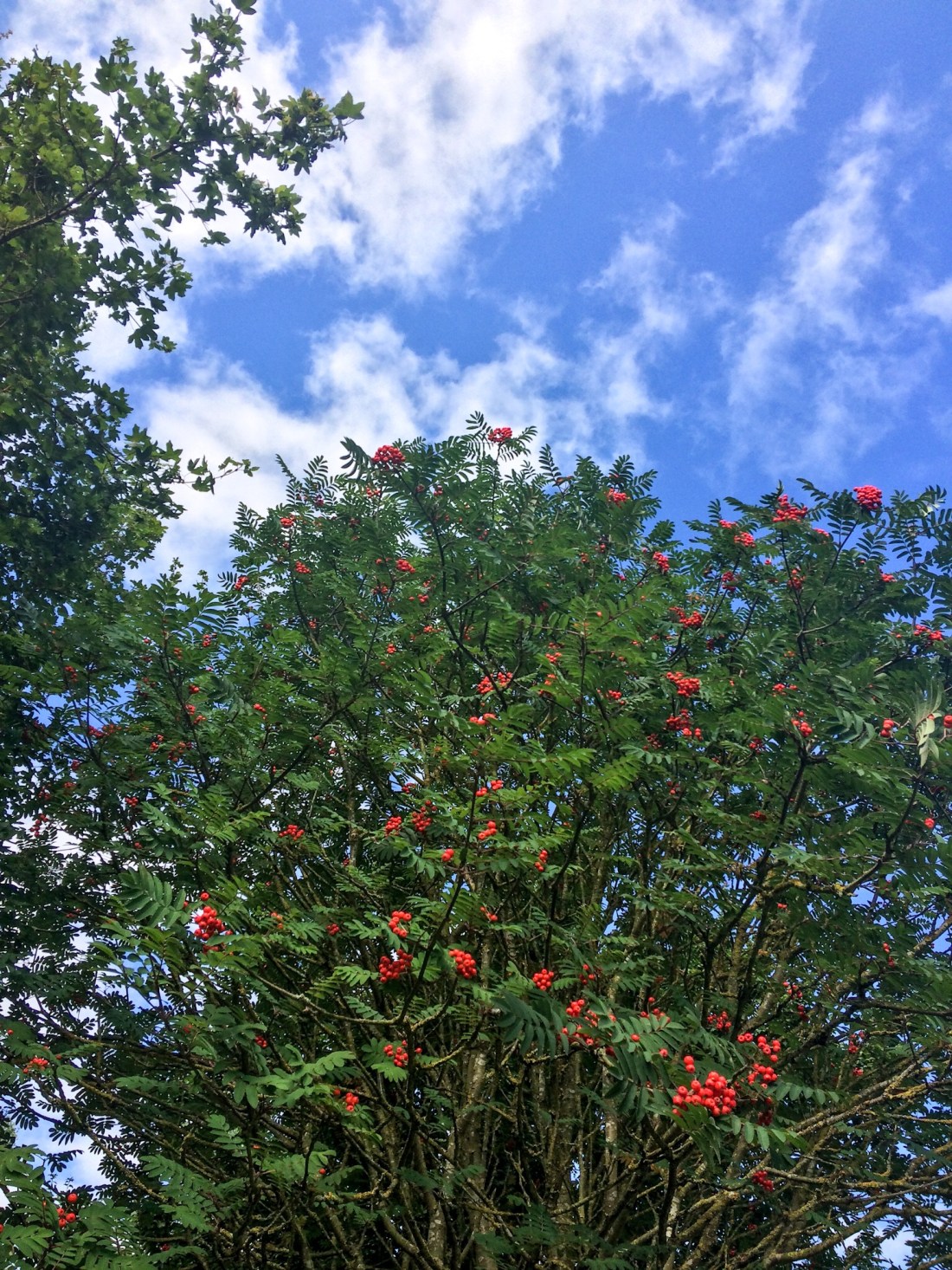 D1849E26-EC8D-463A-98CE-9ACDEE722A20