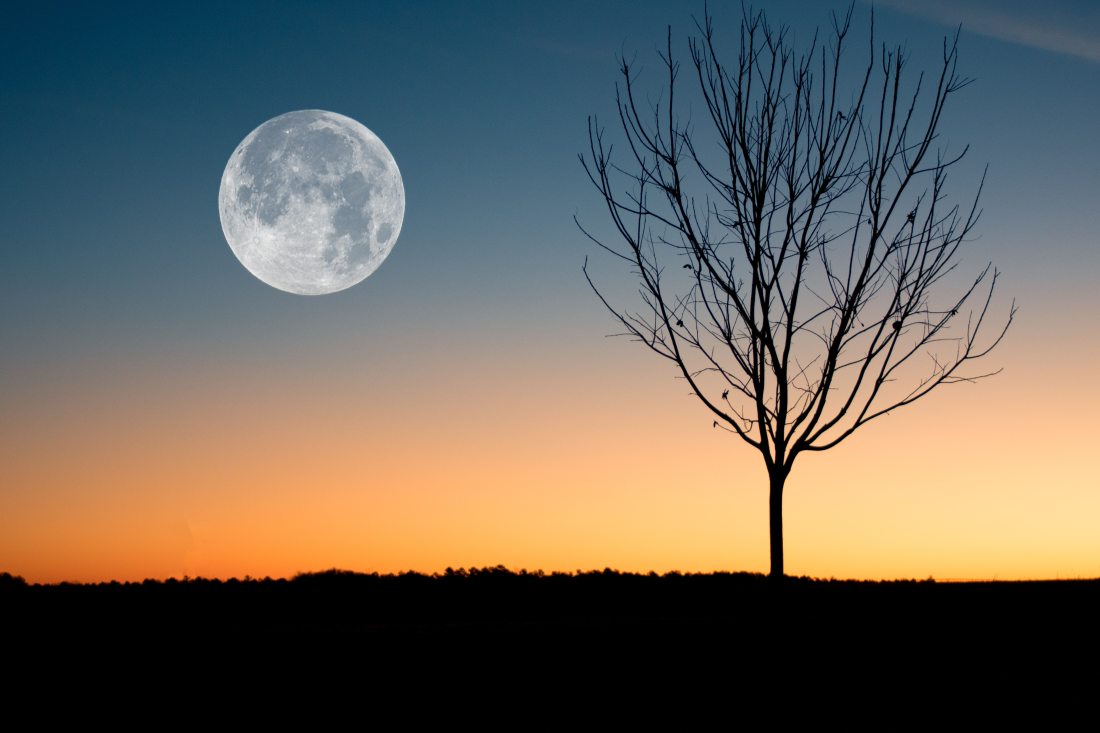 illustration-of-moon-showing-during-sunset-884788